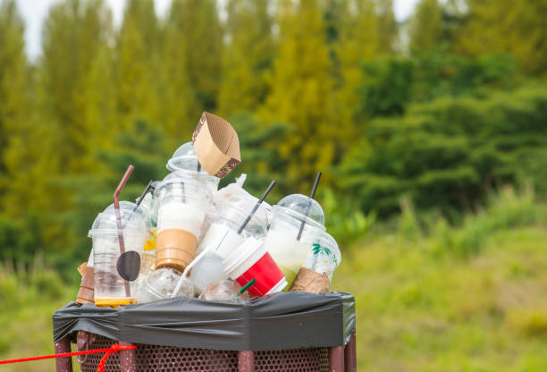 Trash Removal Near Me in Woodinville, WA